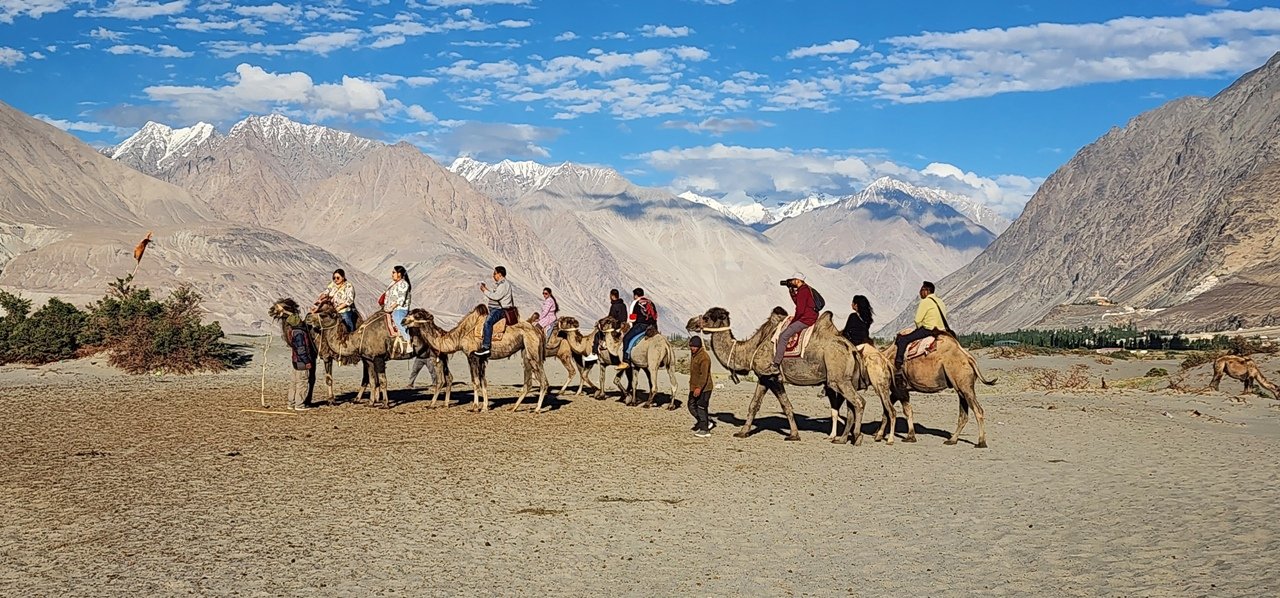 Best Leh Ladakh Travel Itinerary - Pangong, Nubra Valley & Hanle Tour